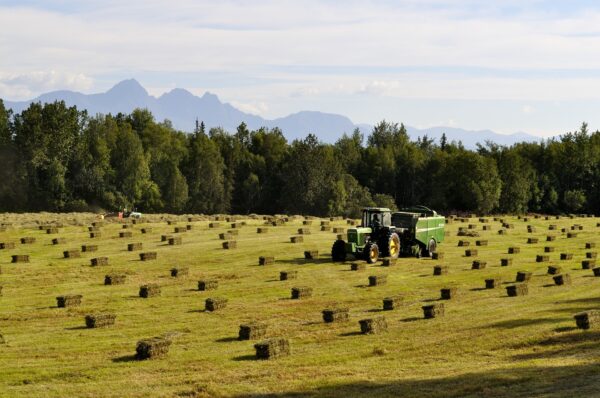 A close-up shot of the tractor in the dryland