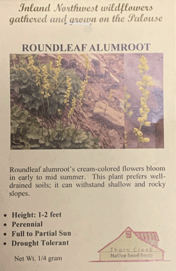 A poster on the Round-leaved Alum Root flowers